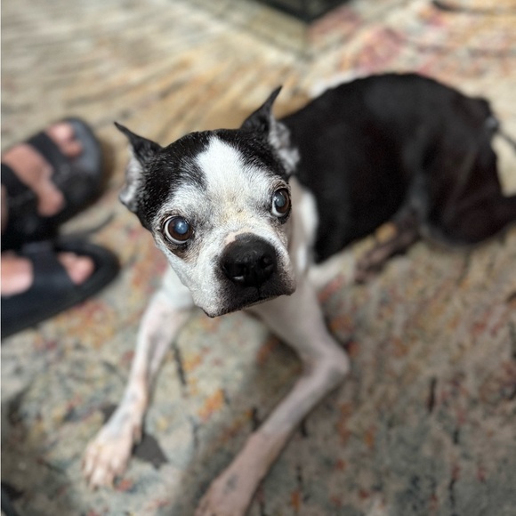 LIZA IS LIVE AND ON FIYAAAA!!! - Picture 5 of 10